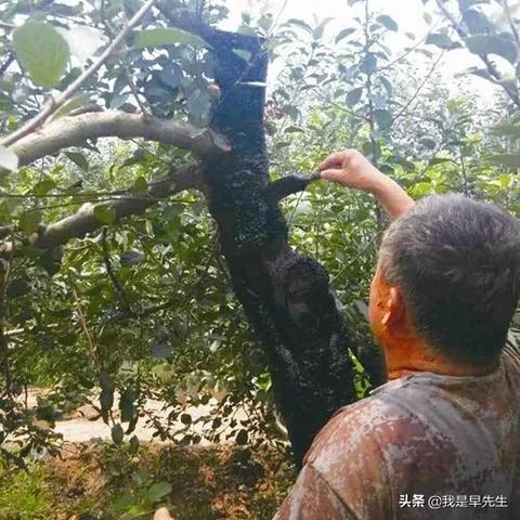 提升得物佳物分期额度，轻松实现购物自由！