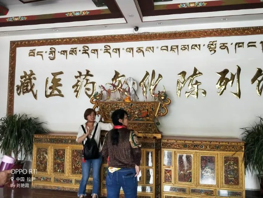 藏医药品牌设计，传统与现代的融合之旅