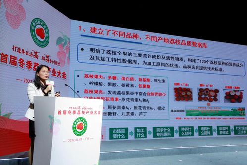 羊小咩便荔卡提现费用解析，合理收费，透明操作