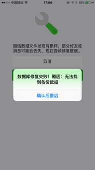 如何恢复那些丢失的聊天记录？全方位攻略大揭秘！