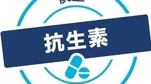 医药品牌提示物的魅力与应用