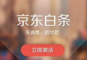 揭秘北京京东白条提现服务，轻松变现，享受便捷金融生活