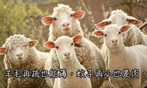 羊小咩便荔卡套现攻略，轻松提现，让你钱包鼓起来！