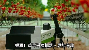 惠州快迪加盟联系全攻略，轻松上手，共创事业高峰！