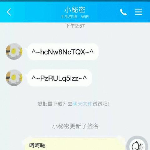 揭秘QQ聊天记录查询，怎样如何轻松获取他人聊天内容？