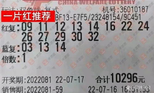 捞王安心外卖加盟攻略，一步步带你走上成功之路