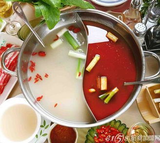 火锅鱼加盟指南，如何轻松做好点心生意？