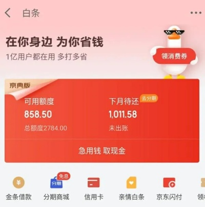 北京京东白条取现通州攻略，轻松搞定资金周转，享受便捷生活！