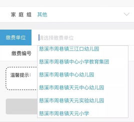 轻松搞懂个人花呗提现攻略，告别虚拟，现金在手！