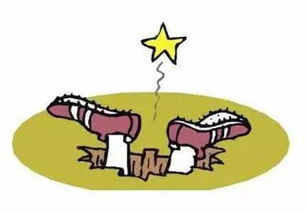 想在农村赚钱，这些项目值得一试—结合案例深度解析