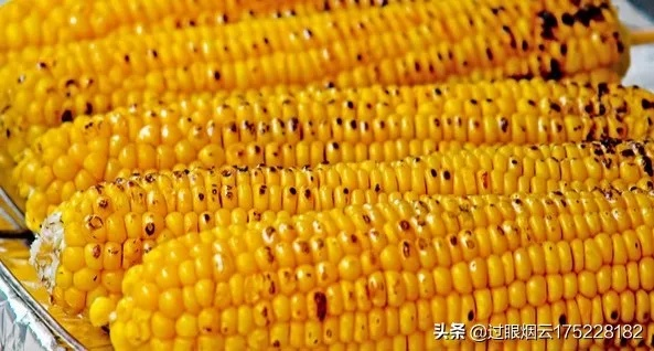 卖玉米做什么生意好点赚钱？看这里就明白！