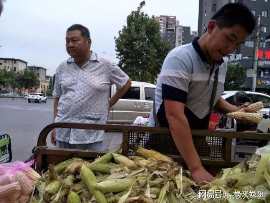 卖玉米做什么生意好点赚钱？看这里就明白！