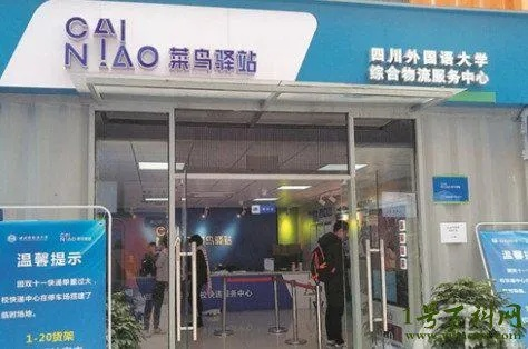 金鹏菜鸟驿站加盟全攻略，一步步带你走上成功之路
