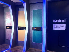 毕节品牌艺术漆厂家电话与案例分析