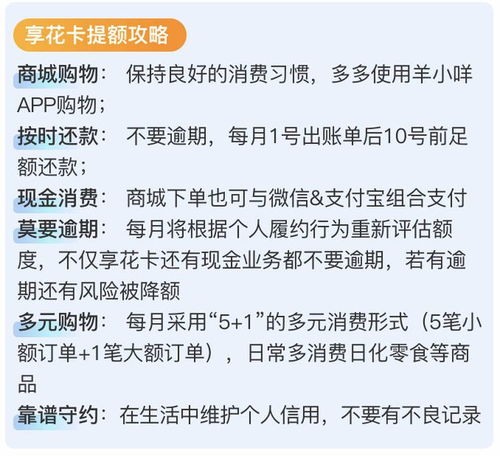 羊小咩便荔卡套现手续费揭秘，收费标准一览及案例分析