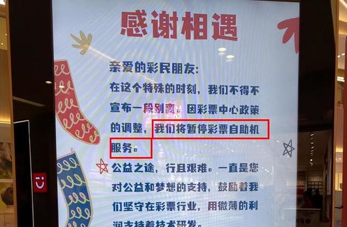 去横店做什么生意赚钱？全面解析与实例探究