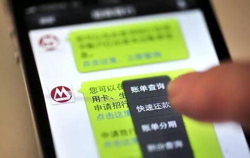 羊小咩便荔卡套现手续费揭秘，费用明细及案例分析