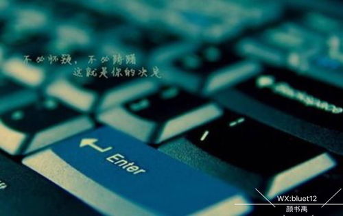 路桥人的致富之路，探寻赚钱更多的职业选择