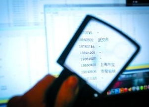 查开房信息数据，法律、技术、隐私与案例全解析