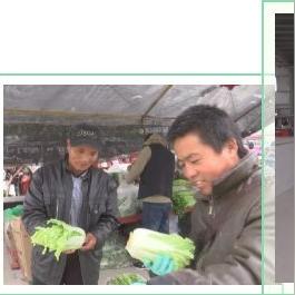 科技致富对联，探索科技与财富的和谐共生
