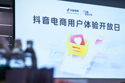 揭秘抖音月付提现，付临门操作指南及案例分享