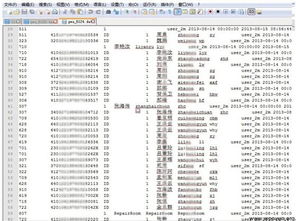 查开房记录查询，深入了解流程与注意事项