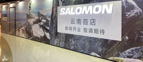 木林森户外品牌深度解析