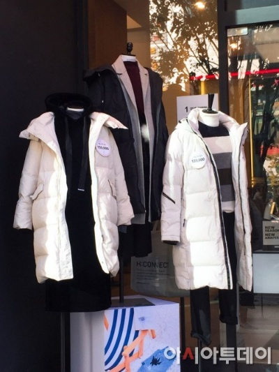 韩国户外羽绒服品牌—探索冬季的时尚与舒适