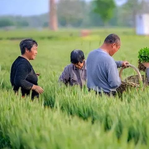 蚯蚓养殖，如何巧妙利用蚯蚓实现快速致富