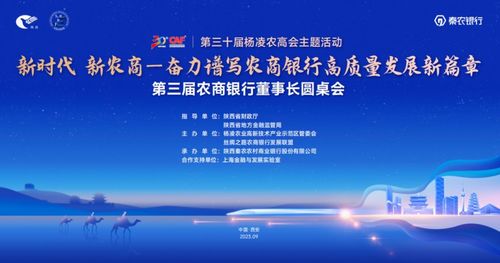 杭州易商金融加盟指南，一步步带你走上成功之路