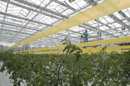 南通智慧管廊招标网官网—城市基础设施建设的透明窗口