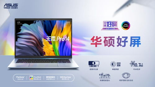 电脑完美屏幕品牌推荐