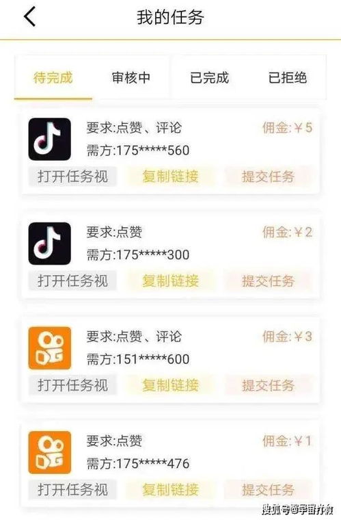 揭秘抖音月付提现服务网站，轻松赚钱，安全提现，你值得拥有！