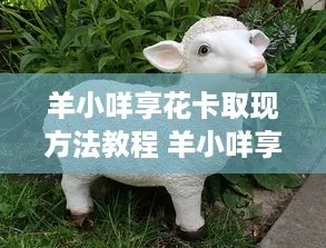 个人羊小咩享花卡取现攻略，轻松操作，资金到账快人一步！