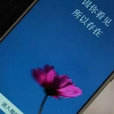 如何保护微信聊天记录安全？防范常见盗取手段的实用指南