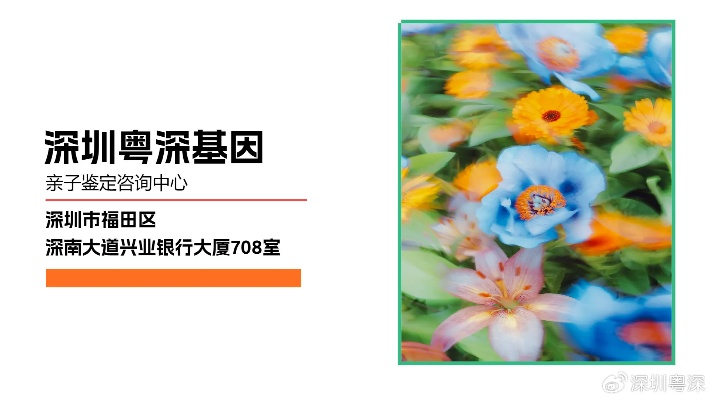 龙岗母婴品牌市场分析与案例解读