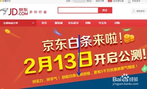 如何高效利用美团提现京东白条，实现资金周转