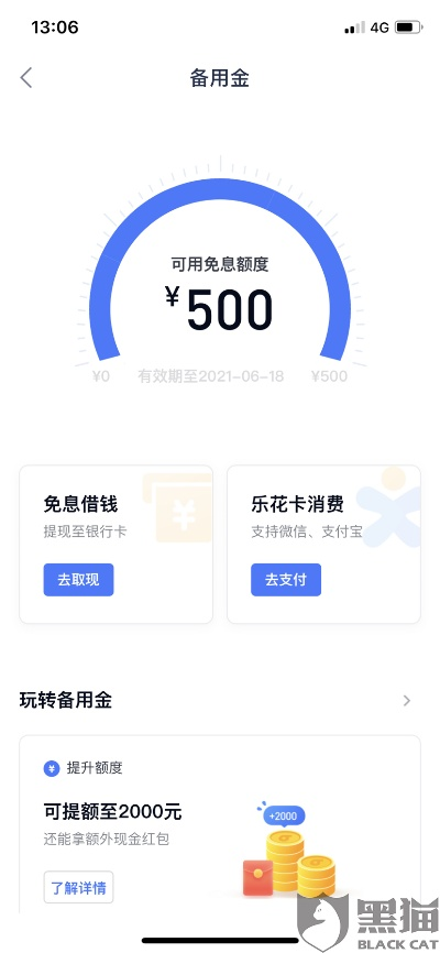 分期乐消费额度兑现与优惠券无额度之谜