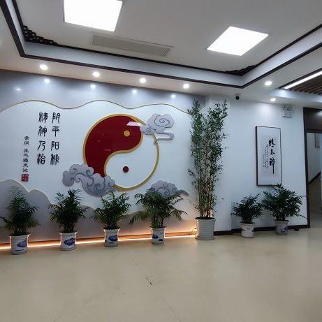 中医药品牌计划，传统与创新的融合之路