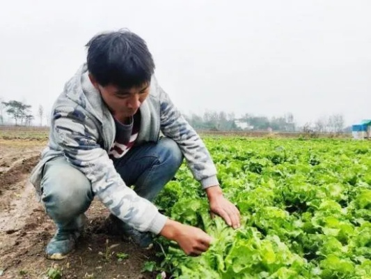创业致富的农民，新时代的田园英雄