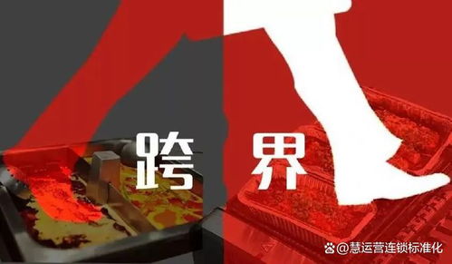 张少巍餐饮品牌的成功之道
