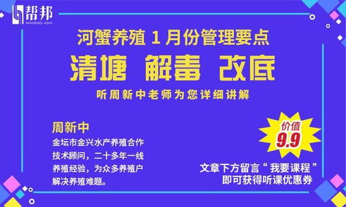 拿快递做什么工作赚钱多？深度解析快递行业中的高薪职业