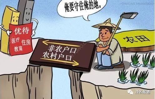 农民大哥的致富之路，探索生意新机遇