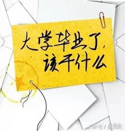 文科毕业女生，职业选择与赚钱之路的多元探索