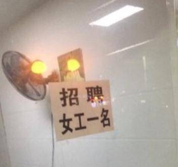 文科毕业女生，职业选择与赚钱之路的多元探索