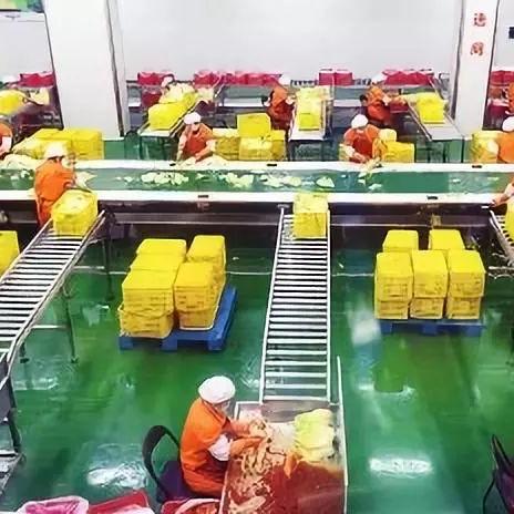 州医药品牌大盘点