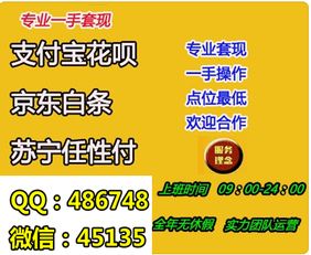 微店放心花，商家套现操作指南与实用案例解析
