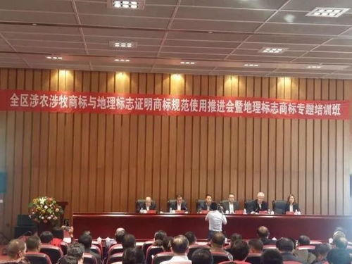 打造医药品牌，策略与实践