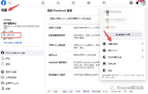 白条套出来多久到账户？一文全解析