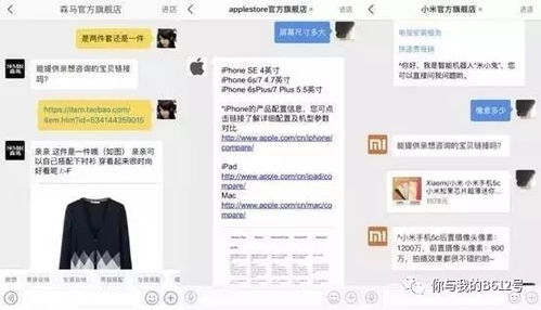 揭秘陌陌聊天记录查看全攻略，合法途径+风险警示